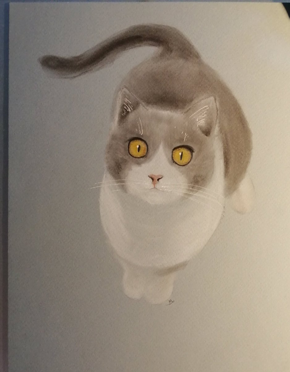 MonicaMarelli's tweet photo. #panpastel #cats #commission #gatti #myart https://t.co/uRLxL3RkiA