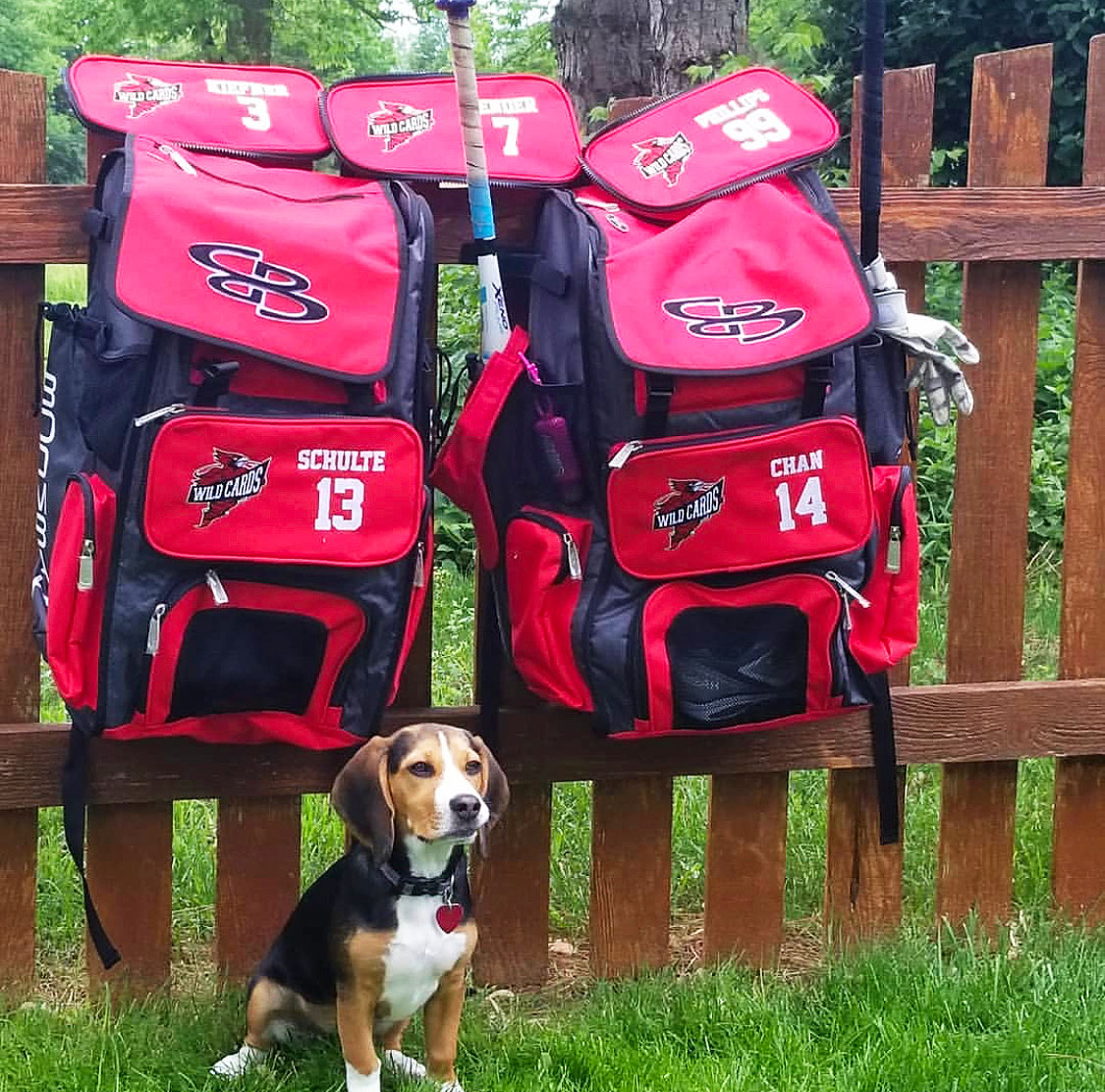 custom boombah bat bags