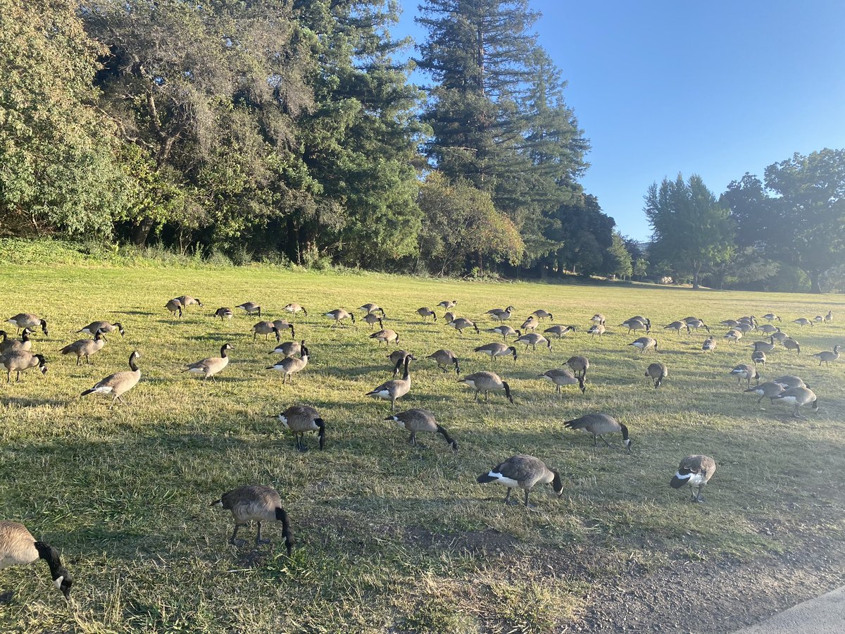 Dean Takahashi tweet media