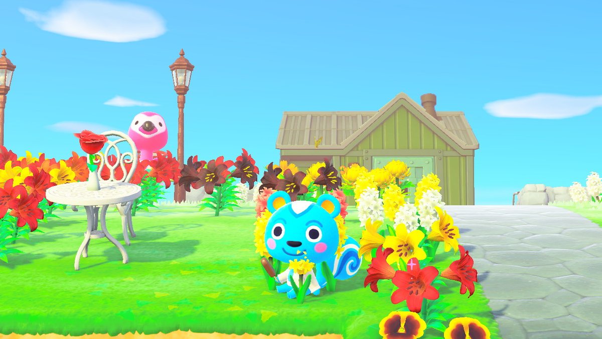 QueenDeliri0us's tweet photo. Look at my babies :))) #AnimalCrossing #ACNH #NintendoSwitch https://t.co/KZOg1y7lXB