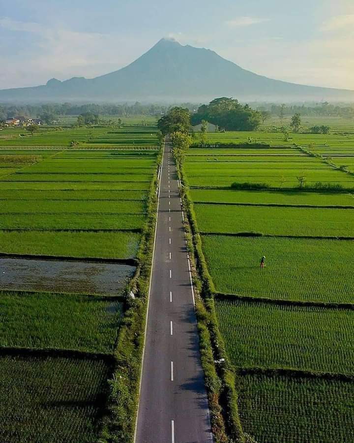 Biarkanlah teman-temanmu naik ke Papan Tulis Mengerjakan Soal Mate-matika, Fisika dan Kimia
Tapi Rangking Satunya tetap Di Kamu!
Serius gw, gw gitu dulu waktu SMA, teman yang Kerjakan 3 matpel itu, tapi Yg Rangking 1  gw...🤣🤣🤣

*Foto dari FB