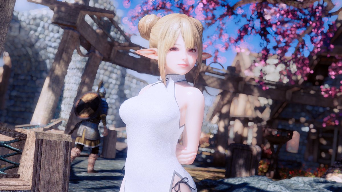 Rayzar Shinwaifu S Followers Skyrim スカイリム