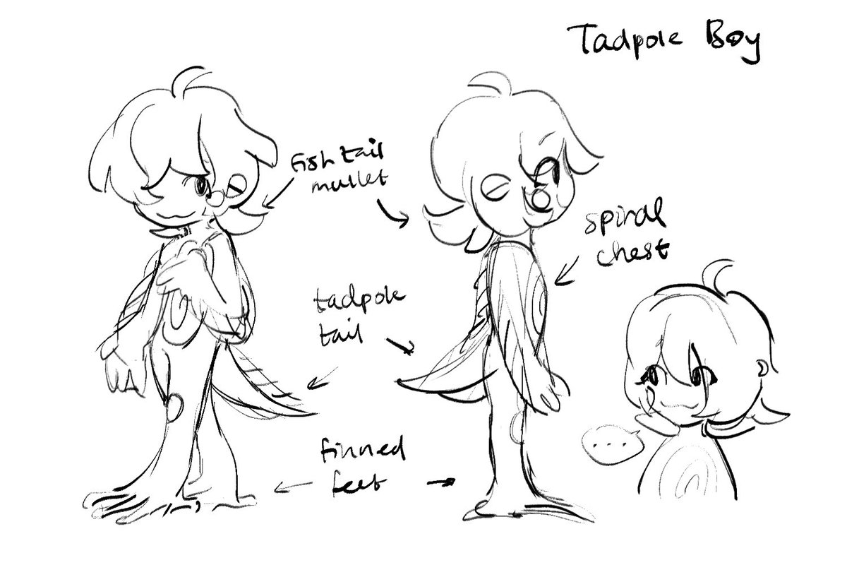 more concept 