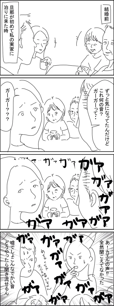 カエルの鳴き声を自動的にシャットアウト！田舎育ちの人にはノイズキャンセラーが搭載されている？！