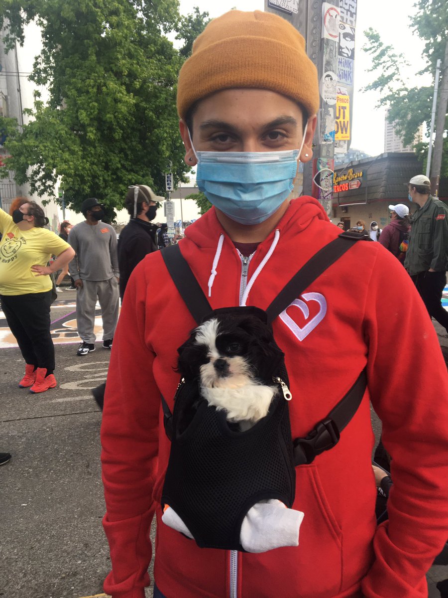 sydbrownstone's tweet photo. Cutest puppies of the #CHAZ? Diego Garcia, Poppy, Bootz and Michael Davis. https://t.co/UsiZ1D5imL