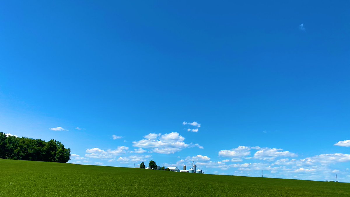 ひろさん 英語ダメで訴訟された10年前 Di Twitter おはようございます アメリカの田舎は快晴です 今日は日本がお休みなので 気持ちが落ち着く緑も入れてみました