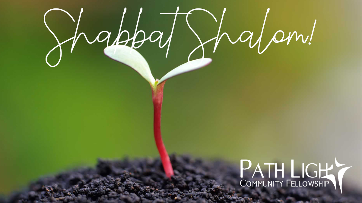 pathlightcf's tweet image. #ShabbatShalom #pathlightcommunityfellowship #plcf 
Shabbat Shalom from Path Light Community Fellowship! 
Don&apos;t forget to tune into our Shabbat Livestream service tomorrow at 10am EST. On Facebook and Youtube live.