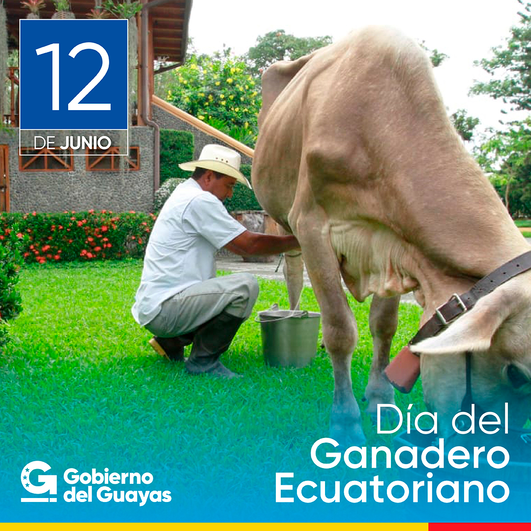 Saludamos hoy a nuestros ganaderos y agradecemos por su inmensa labor en el campo ecuatoriano, por aportar en el abastecimiento de los alimentos aún en la emergencia sanitaria y por ser un gran aporte al desarrollo económico de la provincia y el país.
#DíaDelGanaderoEcuatoriano