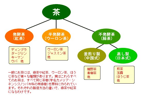 ふじトトロ 生活の豆知識 緑茶と紅茶の違いとは これ実はどちらも同じ茶葉から作っています 違いは発酵させているかいないかです 紅茶は発酵させていて 完全発酵茶 緑茶は発酵させてなく 不発酵茶 に分類されてます ちなみにウーロン茶は ふじトトロ 生活の豆知識 緑茶と紅茶の違いとは これ実はどちらも同じ茶葉から作っています 違いは発酵させているかいないかです 紅茶は発酵させていて 完全発酵茶 緑茶は発酵させてなく 不発酵茶 に分類されてます ちなみにウーロン茶は