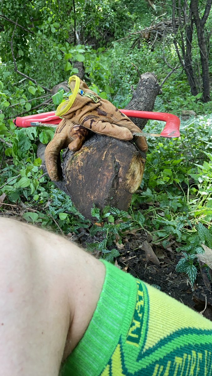 coronaworkout's tweet photo. Today’s workout. Felling trees with the most garbage handsaw. Who needs a chainsaw. #fitfam #homeworkout #noexcuses #nochainsaw #imdumb https://t.co/QnhENSX2wr