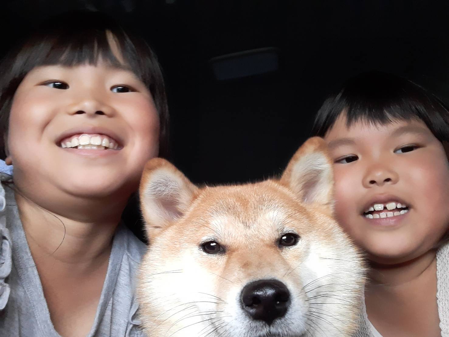 柴犬あずき おはようございます 毎日 雨 で散歩が大変ですね うちは 雨雲レーダーを見ながら散歩に行ってます 長女が書いた絵 あずきさん似てるかなぁ 犬と子供 犬のいる生活 あずきチャンネル T Co 8ymzkwn5he Twitter