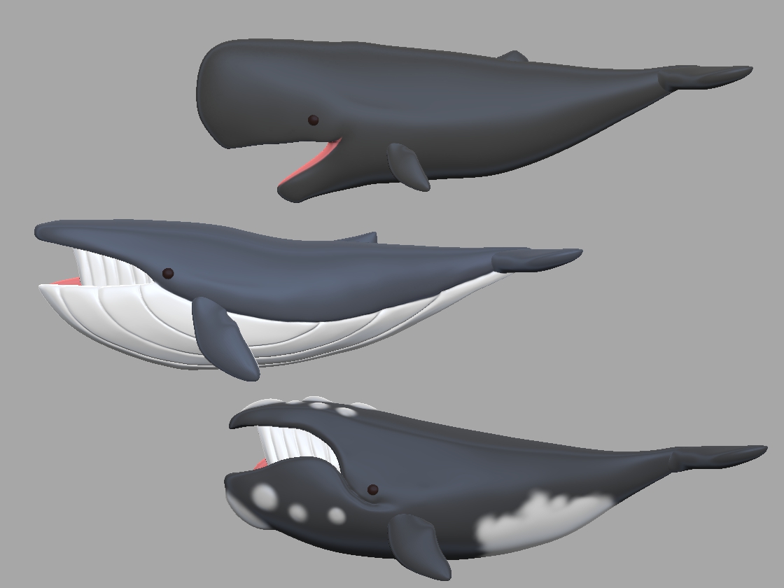 Tomot 上から マッコウクジラ シロナガスクジラ セミクジラ 調べて分かった イルカとシャチってクジラの仲間なのね 勉強になったw Zbrush クジラ T Co Dfvcpmqcsg Twitter