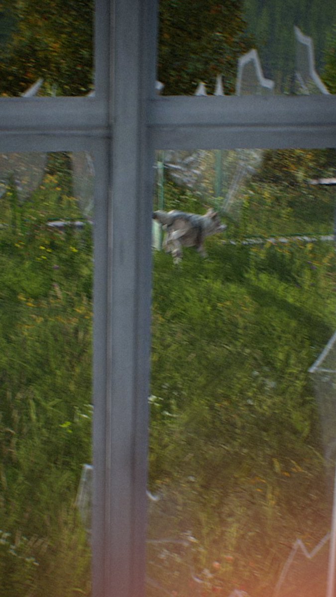 Heather Connor tweet media