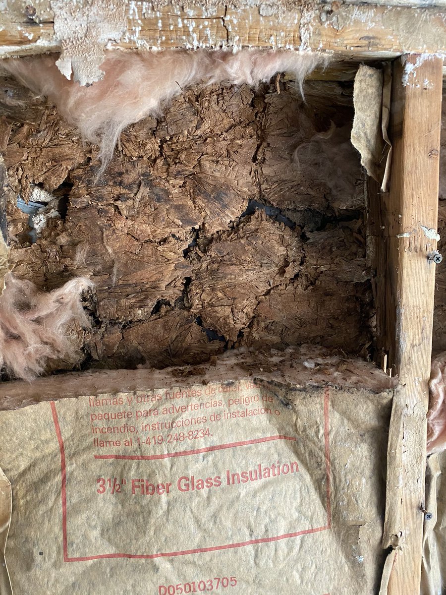 court_hami's tweet image. There are no success stories at #forthood #WeDeserveBetter #NotMyHouse