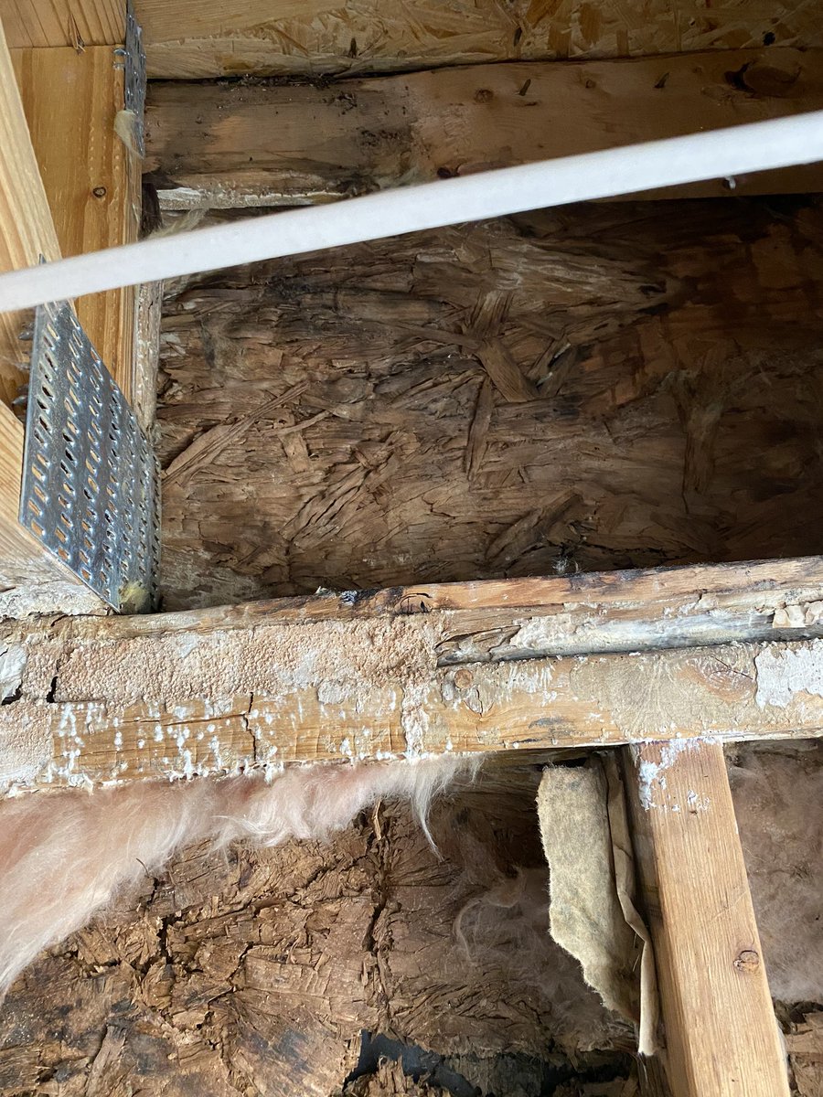 court_hami's tweet image. There are no success stories at #forthood #WeDeserveBetter #NotMyHouse