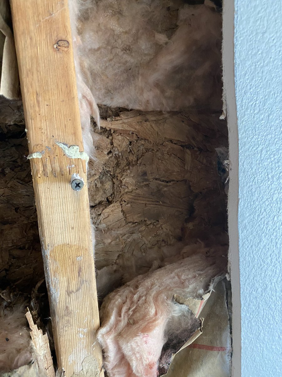 court_hami's tweet image. There are no success stories at #forthood #WeDeserveBetter #NotMyHouse