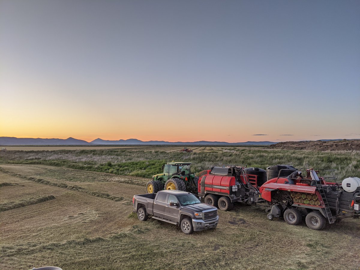 StaheliWest's tweet photo. Our sales manager, Spencer Douglas, took this picture when he was implementing a new steamer up near Tule Lake, Californa! Beautiful evening shot! Have a good weekend everybody! Happy steaming! #staheliwest #dewpoint #dewmore #dewsimulator #steamhay #haysteamer https://t.co/KJq54dk9b5