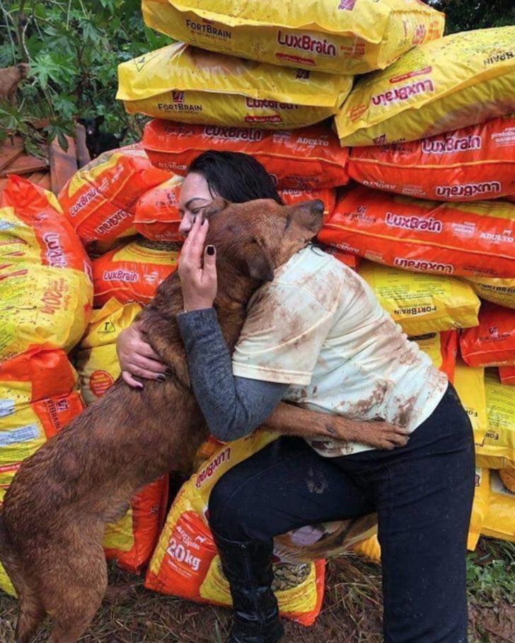 TiendaColoretta's tweet photo. Donó Alimento A Refugio Que Quedó Sin Comida Y Un Perro Se Lanzó A Abrazarla | #ElTierrero https://t.co/ErYEQBygP9 https://t.co/AkEbnwahJC
