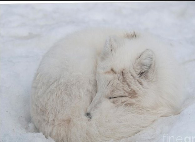 𝓘𝓭 (𝓟𝓾𝓻𝓹𝓸𝓼𝓮) 🔞 tweet media