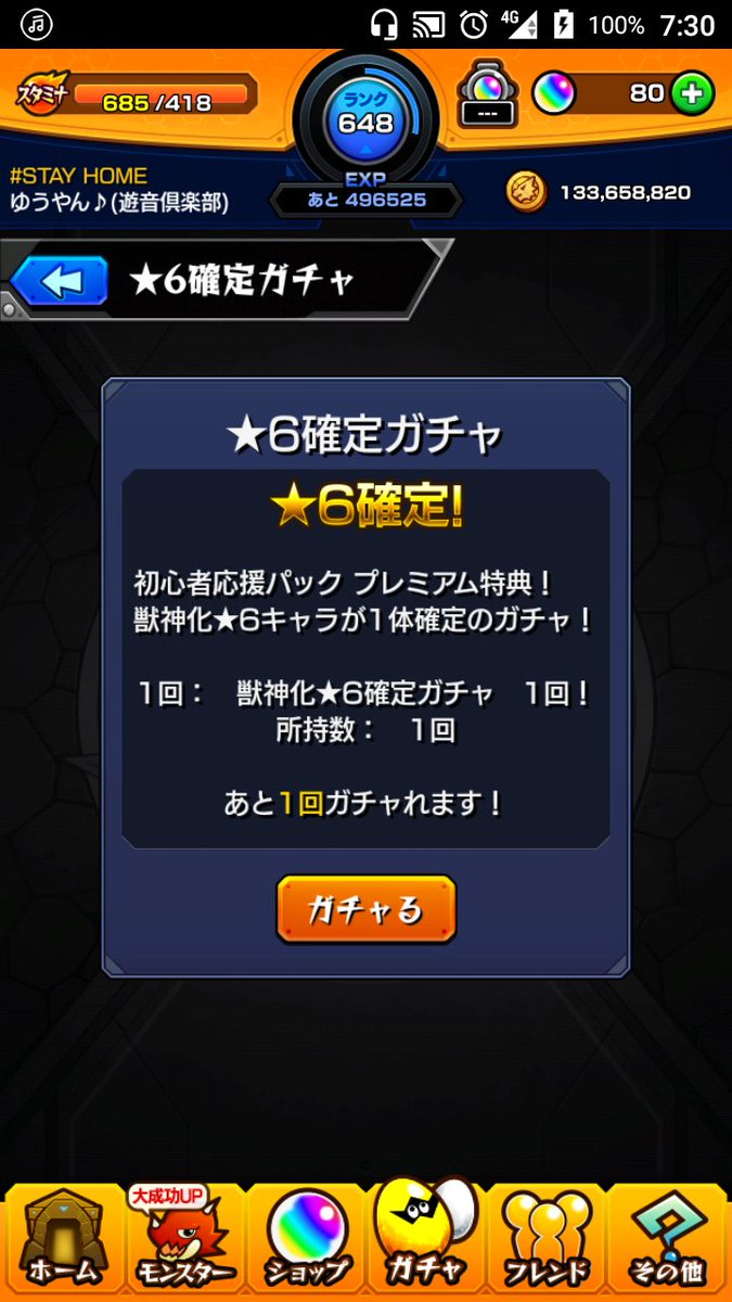 初心者応援パック