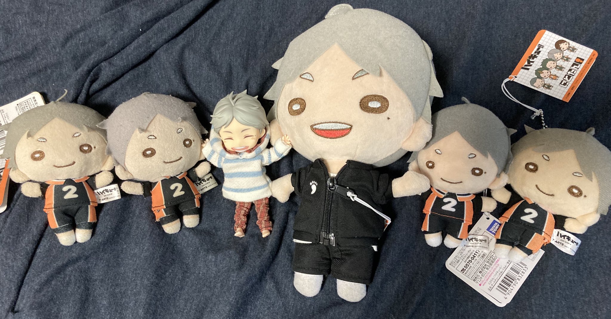 Amazon.co.jp: ハイキュー 菅原孝支 にとたん おおきい - ぬいぐるみ