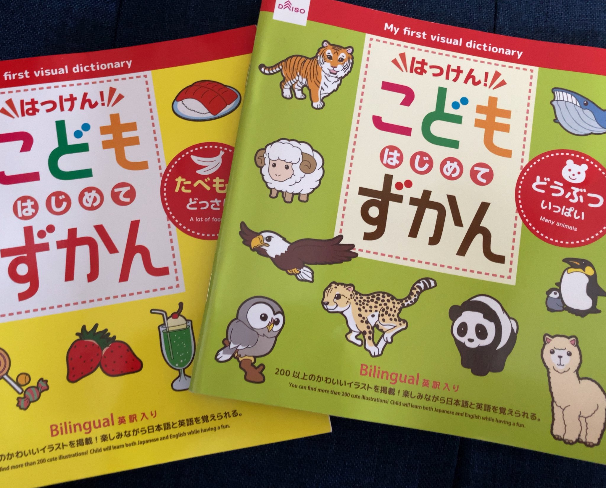ゆう 4y 2y 8m 長女ちゃんにダイソーで図鑑を買ったんだけど 春菊とかミョウガとかマイナーなのか載ってたり英単語に平仮名表記されてて旦那と楽しんでしまった 大人が見ても面白い T Co 7wuumaszmd Twitter