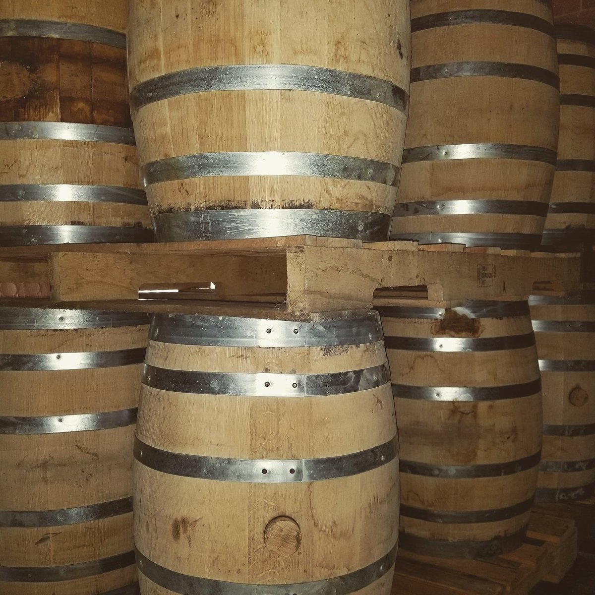 Whiskey barrels stored in a warehouse at Copper Barrel Distillery.