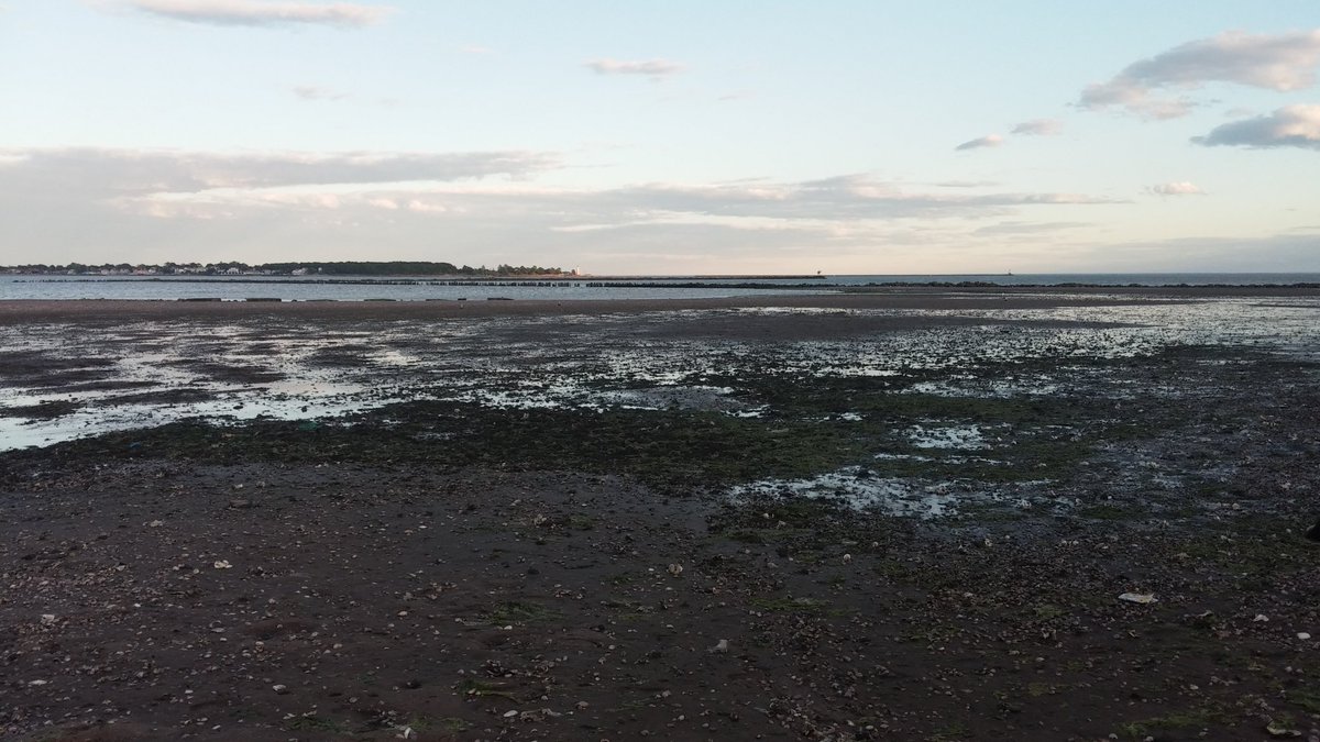 Sandy Point Bird Sanctuary, sublime jewel of our bioregion... #Longislandsound #newhavenharbor