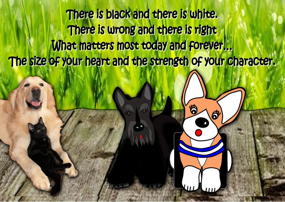 Rugby Jones 🇺🇸 tweet media