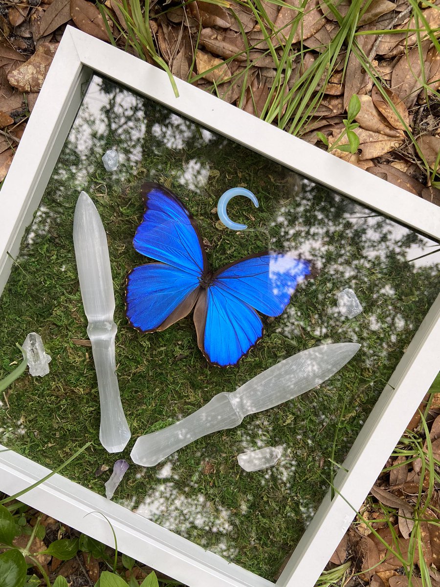 I hope everyone is having a nice day! Enjoy some of these recent pieces I created !