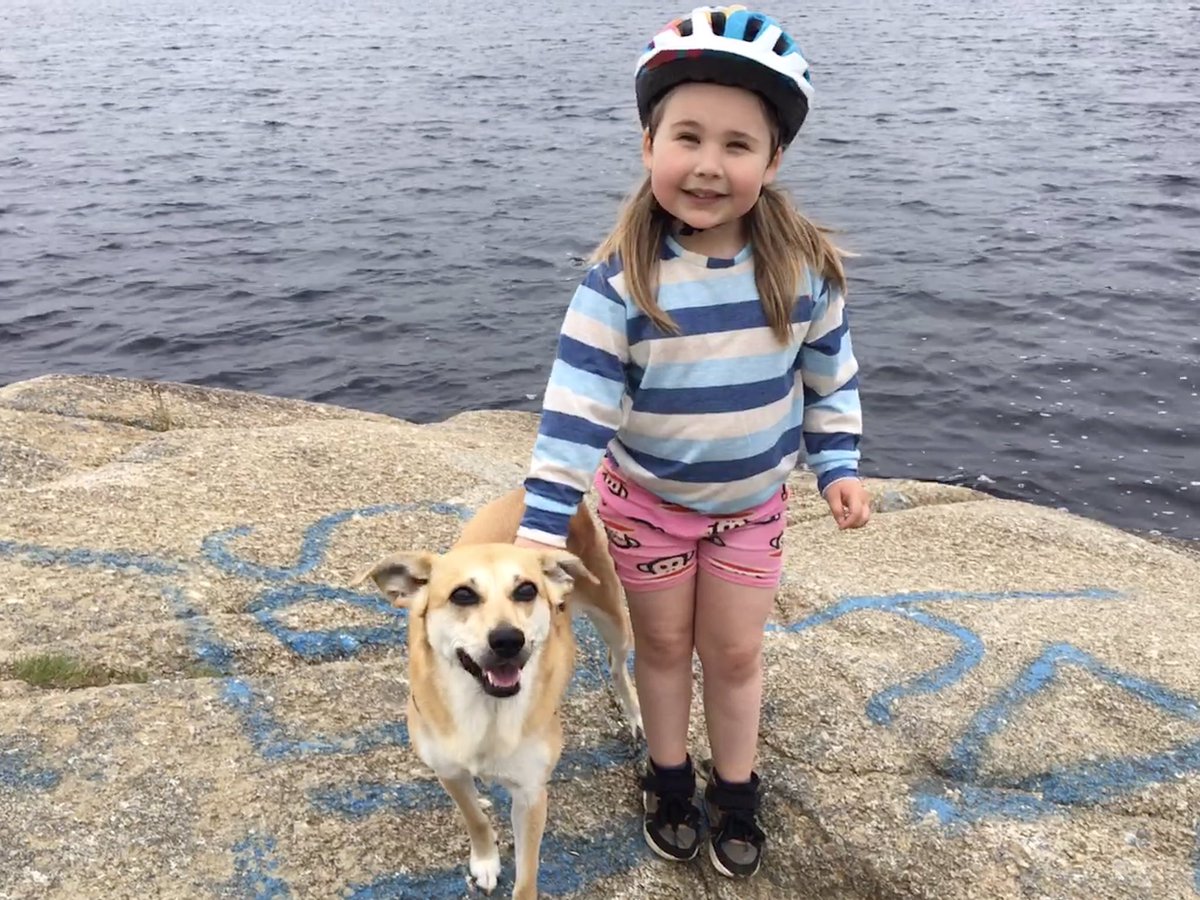 PavedWithDrive's tweet image. My running crew today. Conversation was decent, pace was a bit light, a few too many “rest stops” for my liking, but an impressive 60+ min effort by all!