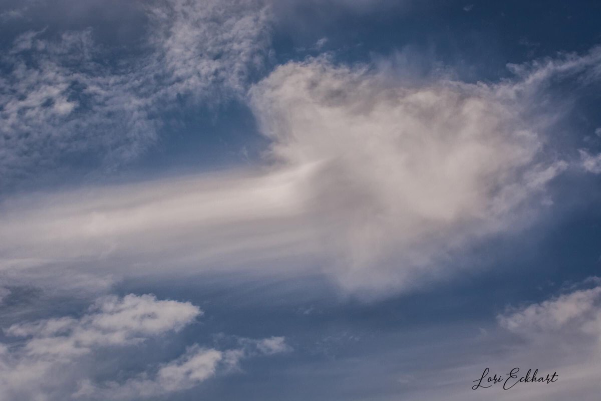 LoriEckhart1's tweet photo. @kcraFinan We had some GREAT cloud art across the skies of Chico today! #kcra #clouds #weather #markfinan https://t.co/nrjuFHuHmS