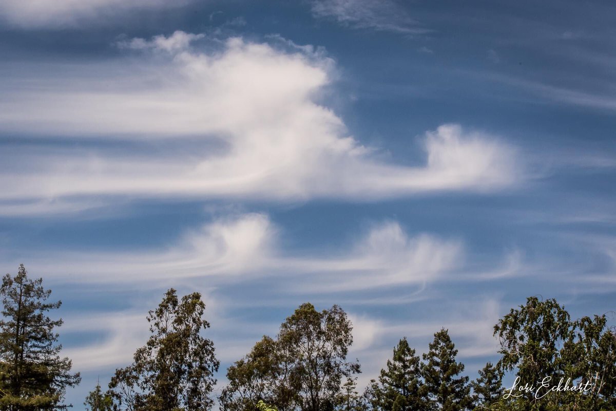 LoriEckhart1's tweet photo. @kcraFinan We had some GREAT cloud art across the skies of Chico today! #kcra #clouds #weather #markfinan https://t.co/nrjuFHuHmS