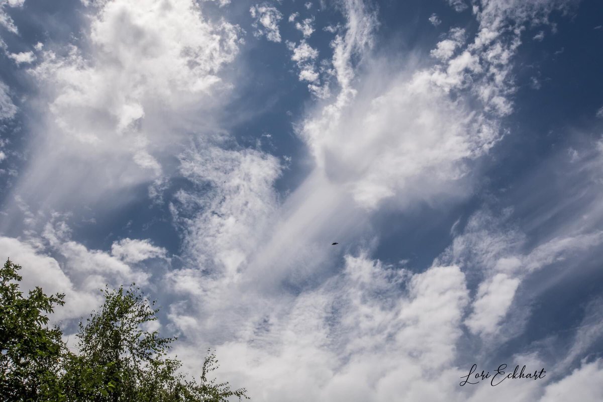 LoriEckhart1's tweet photo. @kcraFinan We had some GREAT cloud art across the skies of Chico today! #kcra #clouds #weather #markfinan https://t.co/nrjuFHuHmS