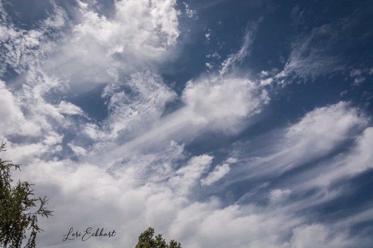 LoriEckhart1's tweet photo. @kcraFinan We had some GREAT cloud art across the skies of Chico today! #kcra #clouds #weather #markfinan https://t.co/nrjuFHuHmS