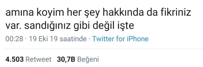aykan tweet media