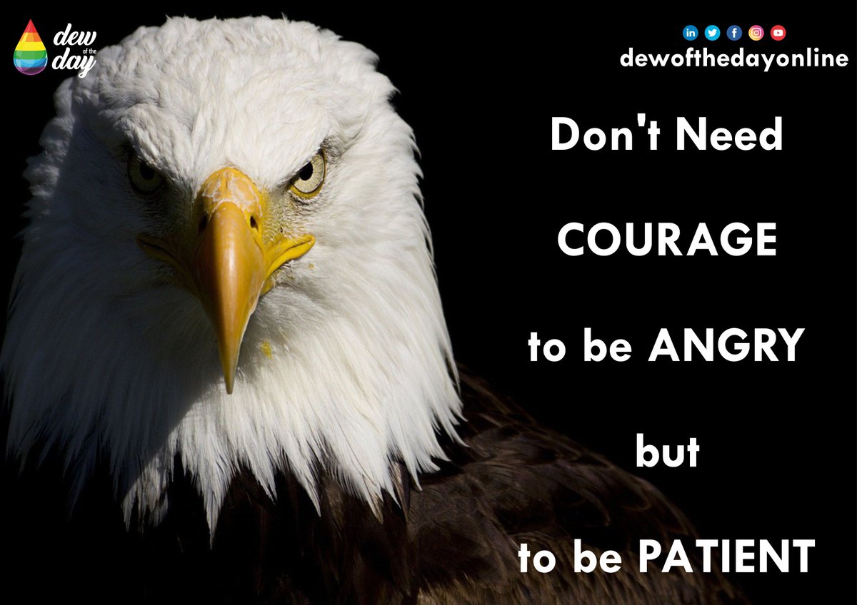 dewofthedayon's tweet photo. Don't need COURAGE to be ANGRY but to be PATIENT.
#InspirationalQuotes #inspirational #inspirationalquote #inspirationalquote #MotivationalQuotes #motivation #Motivation #motivational #motivationquotes #dewoftheday #Daily https://t.co/kwisOZvhEL