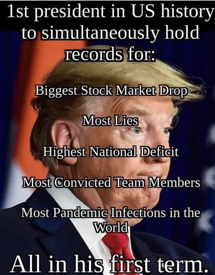 LostPetsNYC tweet media