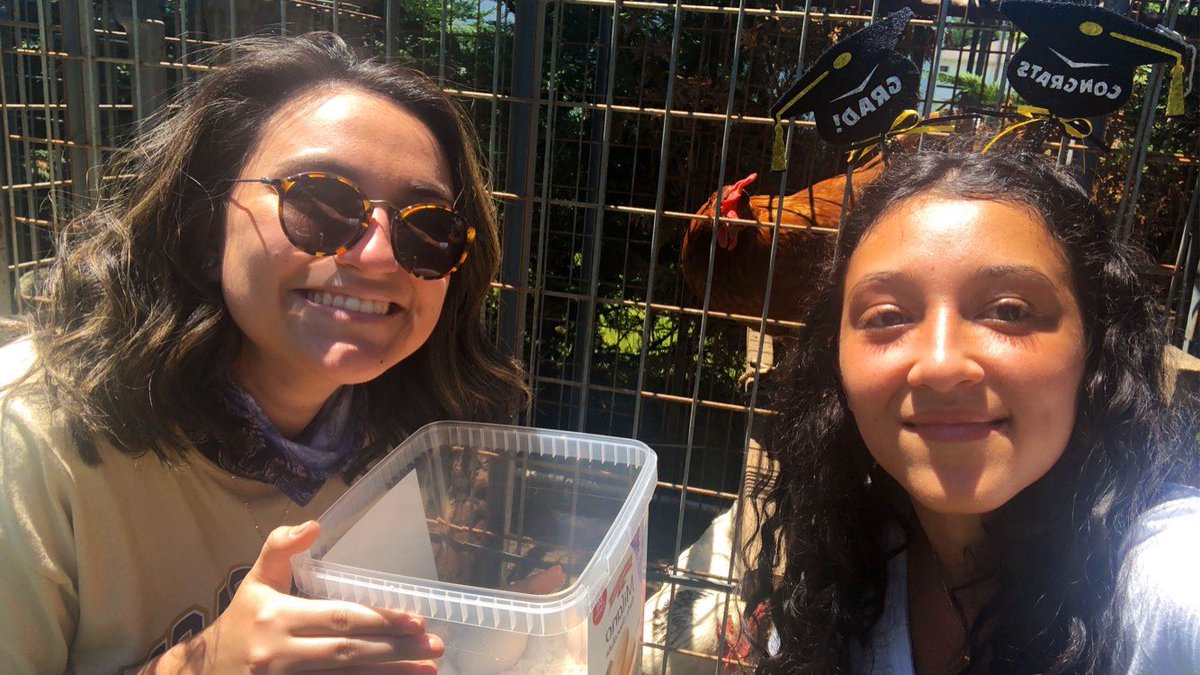 CestLaVilla's tweet photo. Special shout-out to Bella and her chickens for giving me some fresh eggs as a gift!!! I laughed over this picture the whole drive home 😂 #WeAreBethpage https://t.co/TdGThDV7rJ