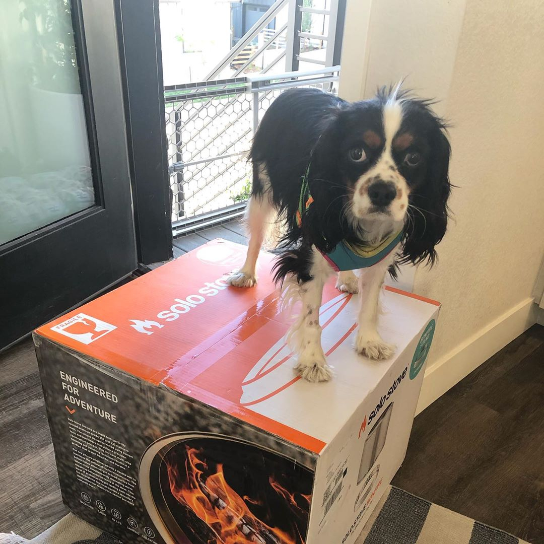 SoloStove's tweet photo. "I barked at the mail man"
πΈ @mr.sulldogzz
#solostove #firepit #backyard #solostoveyukon #fire #smores #getoutside #backyardhero https://t.co/M1l5b6nBRd