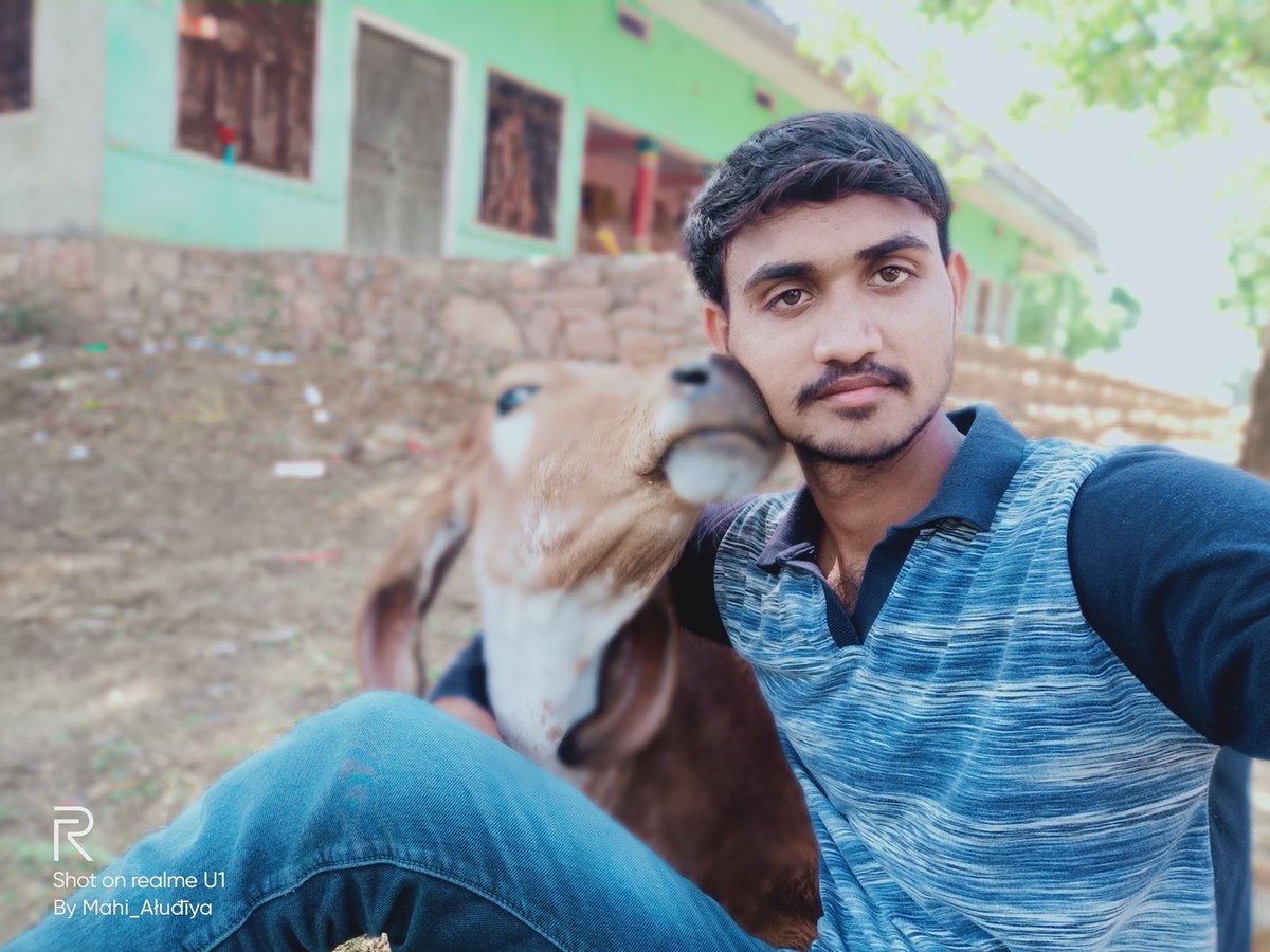 Mahi9887's tweet photo. #SelfieWithCow
#iamproudofmyindiannationlity
#Jayhind https://t.co/Y4mAORA5nh
