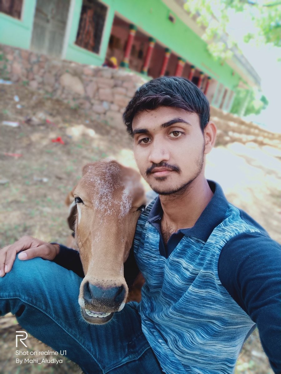 Mahi9887's tweet photo. #SelfieWithCow
#iamproudofmyindiannationlity
#Jayhind https://t.co/Y4mAORA5nh