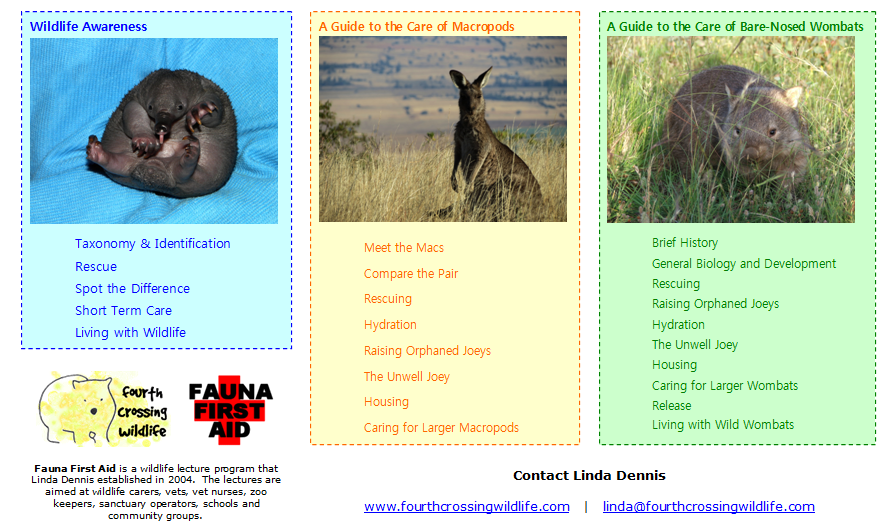 FCWildlife's tweet photo. Linda Dennis from Fourth Crossing Wildlife teaches 3 in-depth Fauna First Aid courses and is happy to travel in Australia to teach for you.  FFA courses are supported by @AustralianWild2  and @ausgeo and @ifawAU .
#wildlife #macropod #wombat #wildliferescue #australiananimals https://t.co/XNKQYJYpHh