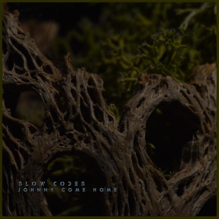 slowcoded's tweet image. Hey friends. Have you seen Johnny? Tell him to come home. We worry.