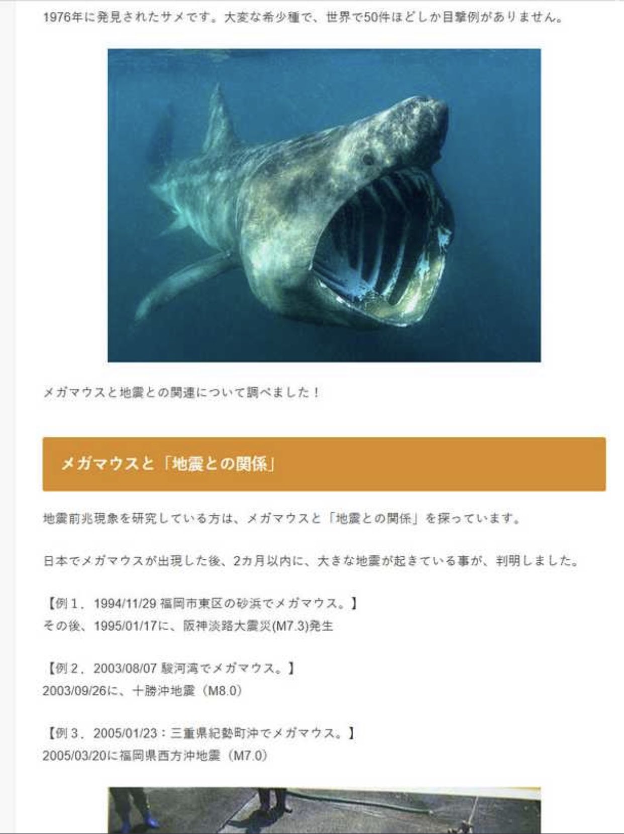 ぽぽンネ たまーに配信する Twitterren メガマウスと地震との関係 調べる前に メガマウスとウバザメ の違い調べろや ぽぽンネ たまーに配信する Twitterren メガマウスと地震との関係 調べる前に メガマウスとウバザメ の違い調べろや
