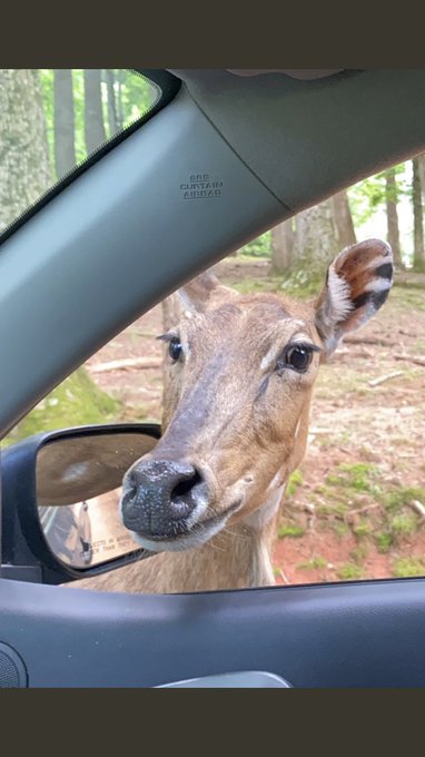 All lives what ? 🤨 https://t.co/uzMtlquppz<a href="/tag/iheartradio"class="tags"><span>#iheartradio</span></a>