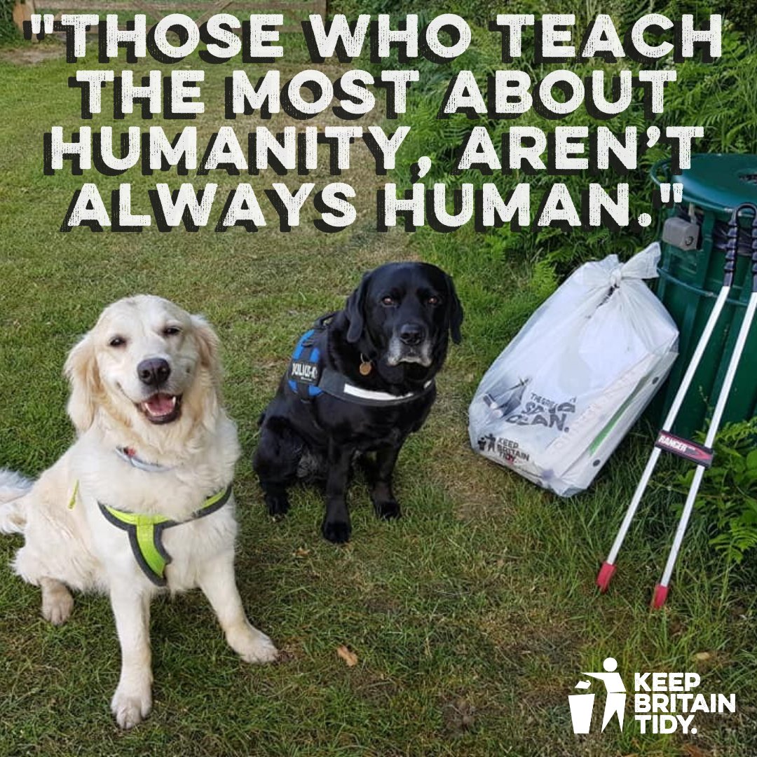 Our #LitterHeroes Ambassador Leonie goes litter picking with her dogs. In fact, many dog owners are now taking part in environmental action too, through initiatives like <a href="/pawsonplastic/">Paws On Plastic #pawsonplastic</a>. 🐕 😍 🐾
​
​Are you a dog owner that's been inspired to care for the planet? 💚🌍🚮