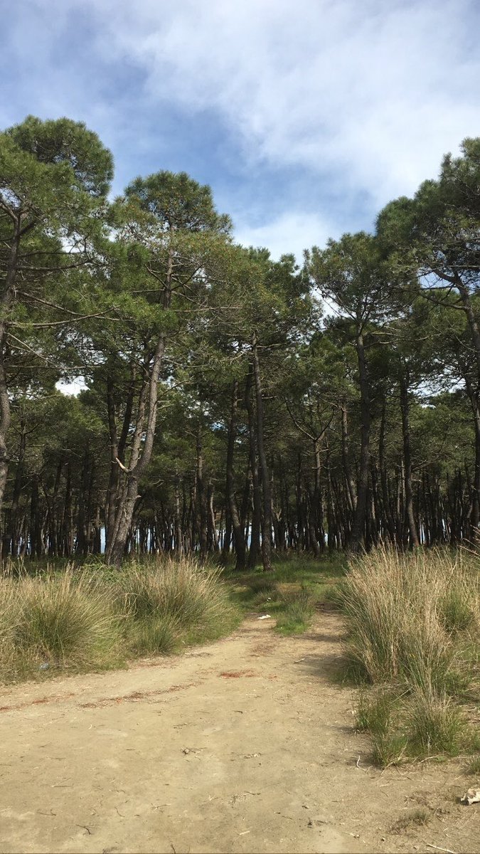 AndItalba's tweet photo. Good morning and have a nice day🍃
#italbatravel https://t.co/yi6rV70xTw