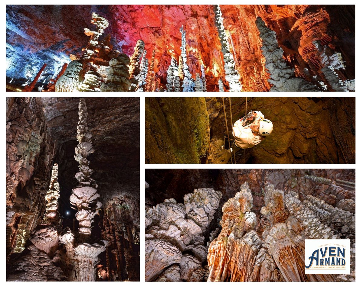 Nous sommes heureux de vous annoncer la date de lancement de la saison 2020. Le 7 Juillet prochain vous pourrez de nouveau venir découvrir l'univers de l'Aven Armand. Avec cette année, un tout nouveau programme de visites et un nouveau service de restauration sur le Causse Méjan