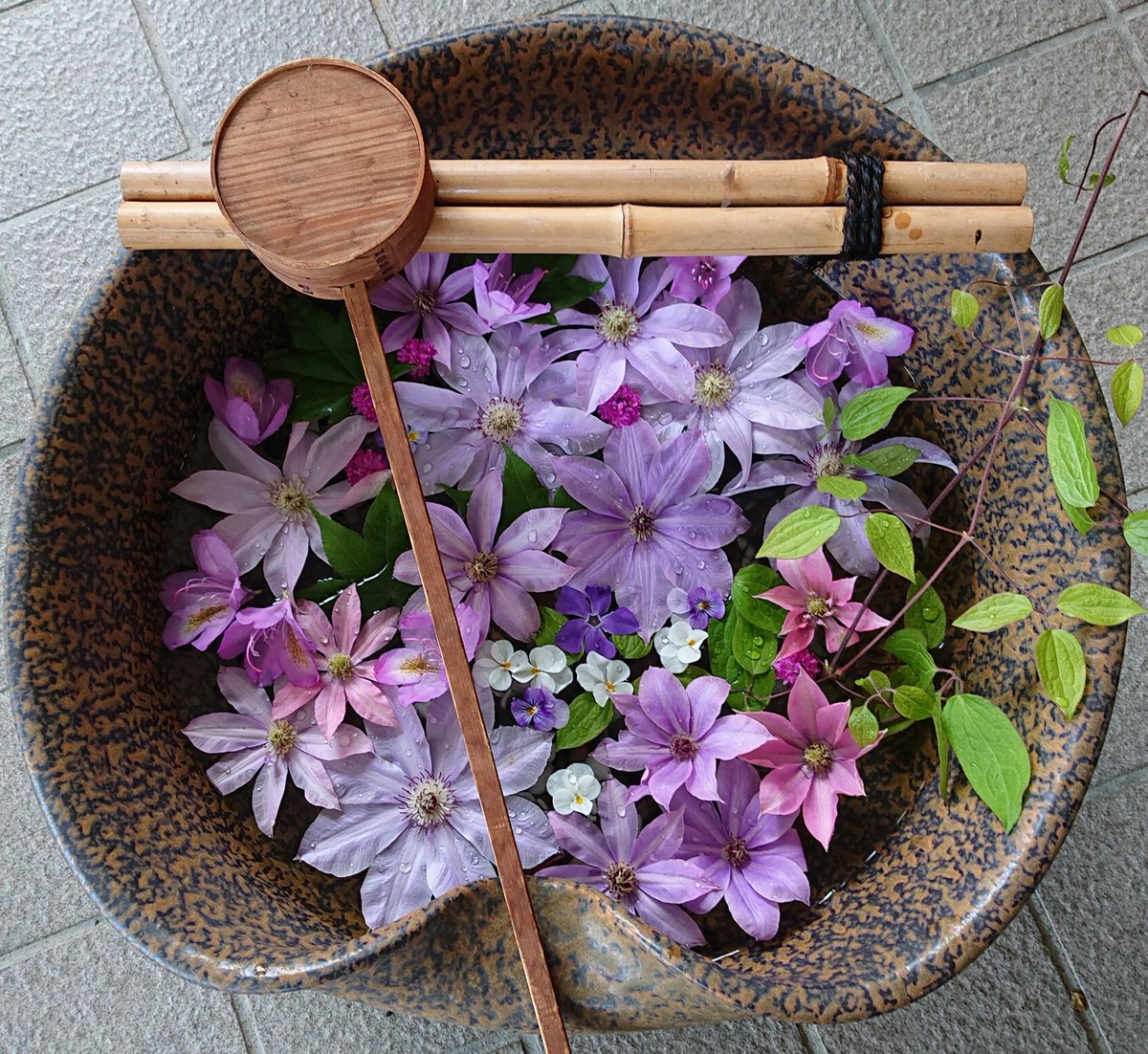 びえいのもり 手水鉢をおいてみました 境内のあちこちで 彩る野花達を 集めてみました 花水鉢 花手水 境内の花 てっせん 青紅葉 ツツジ パンジー 美瑛神社 びえいのもり 手水鉢をおいてみました 境内のあちこちで 彩る野花達を 集めてみました 花水鉢 花手水 境内の花 てっせん 青紅葉 ツツジ パンジー 美瑛神社